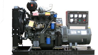 30kW柴油發電機組 為養殖場提供可靠電力保障的優選設備